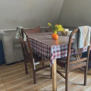 Everyday Cat Батуми